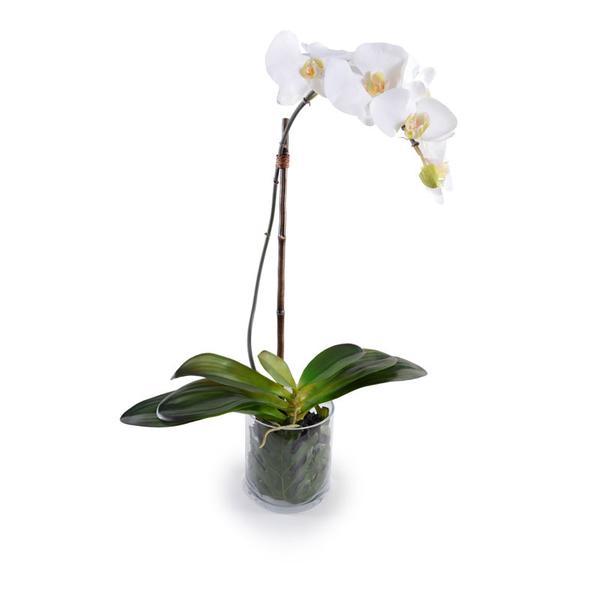 The faux Orchid plant has six white flowers and a glass vase with a realistic looking stem and leaves.